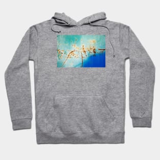 Washed ocean erosion Hoodie